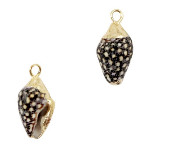 Schelp hanger special wulk Dark brown - mix gold