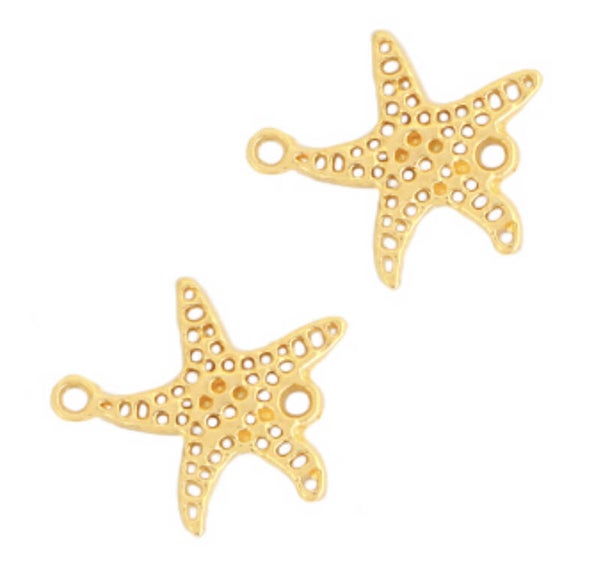 DQ tussenstuk zeester Goud