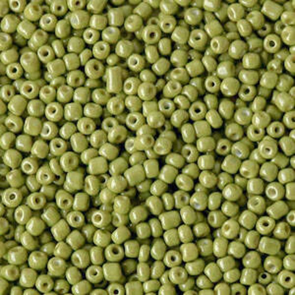 Rocailles 2mm Blooming grove Green