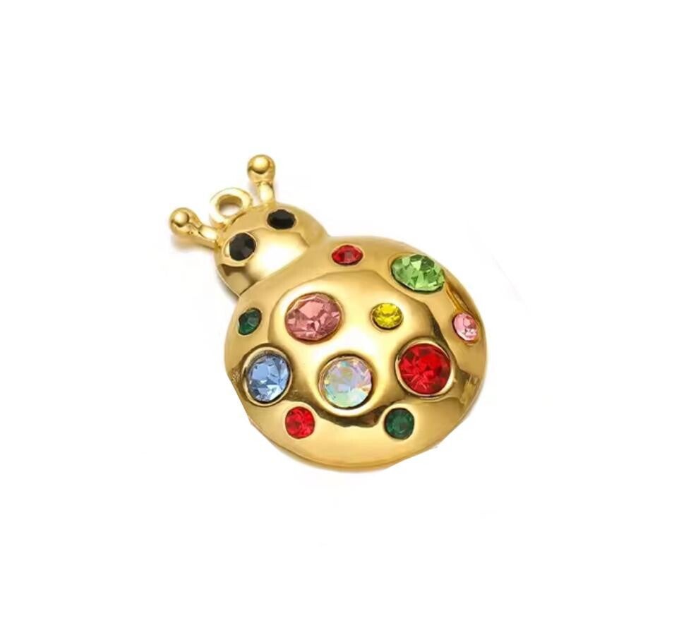 Stainless steel Beatle steentjes