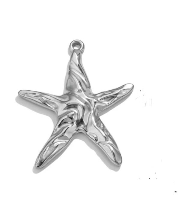 Bedel / hanger zeester stainless steel zilver