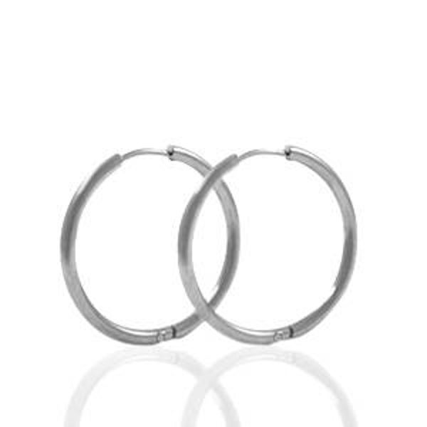 Stainless steel oorringen 22 mm zilver