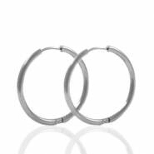 Stainless steel oorringen 24mm zilver