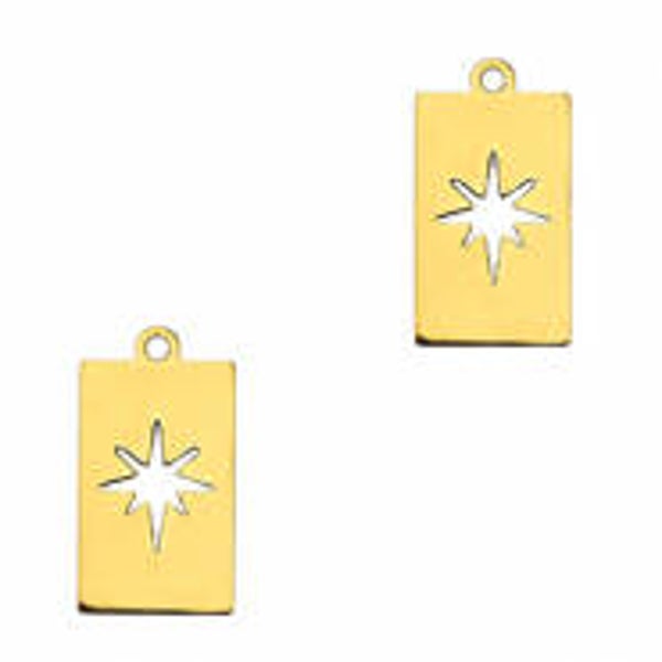 Stainless steel bedel/tag ster goud