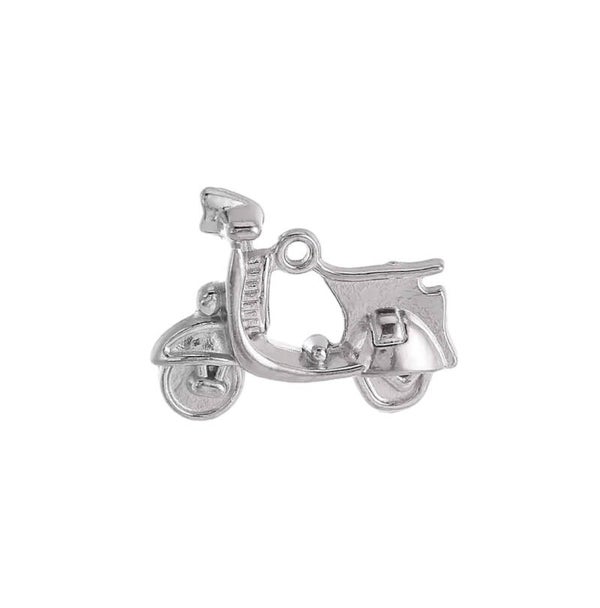 Bedel/hanger scooter stainless steel zilver