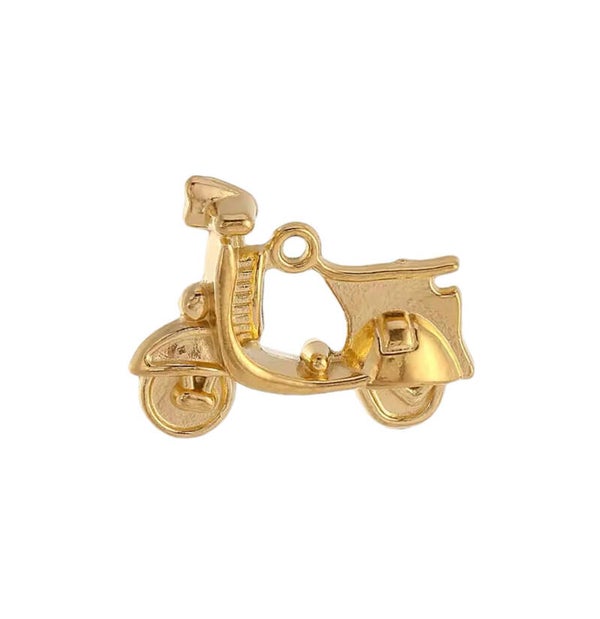 Bedel/hanger stainless steel scooter goud