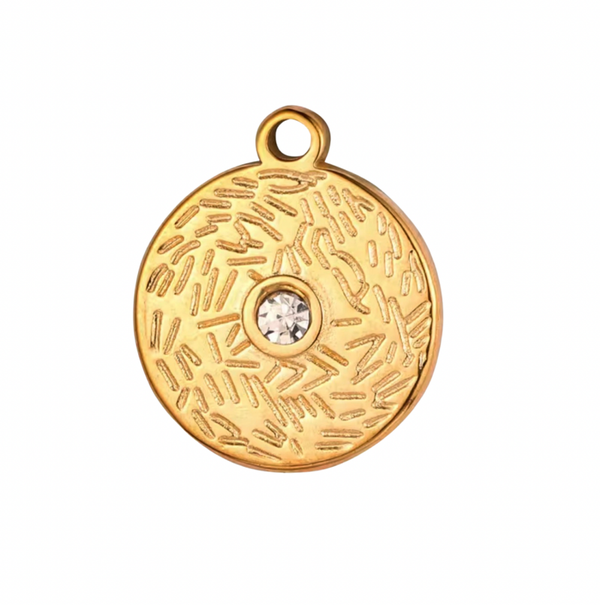 Stainless steel bedel - coin met steen