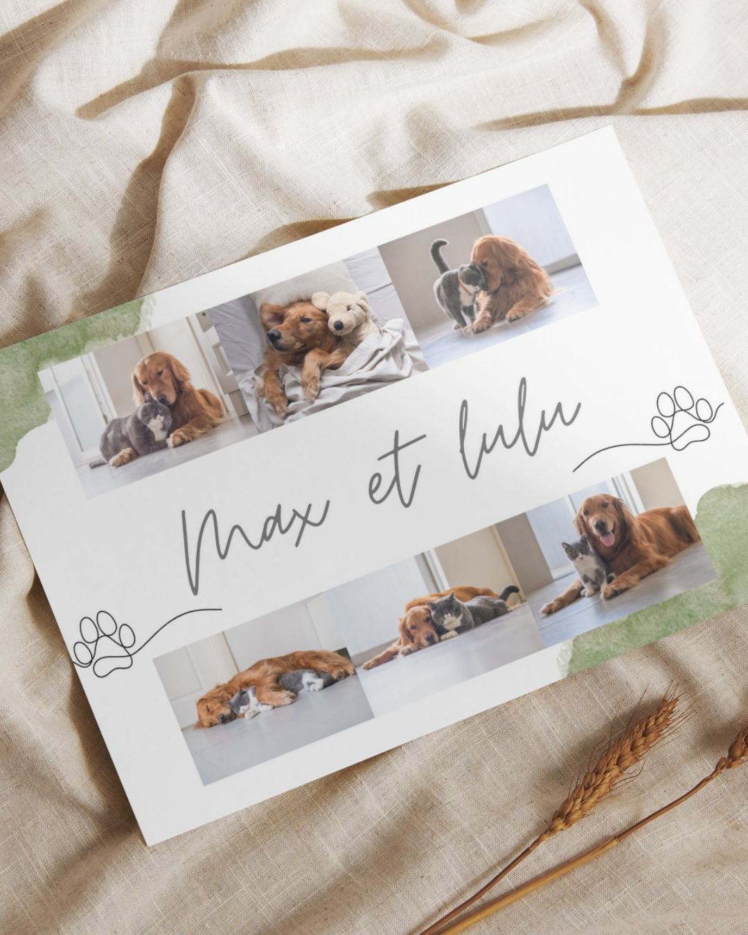 Affiche avec photo : Nos animaux