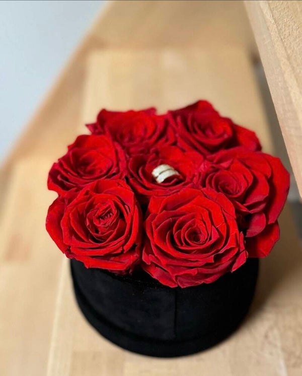 Small Velvet Floxerbox