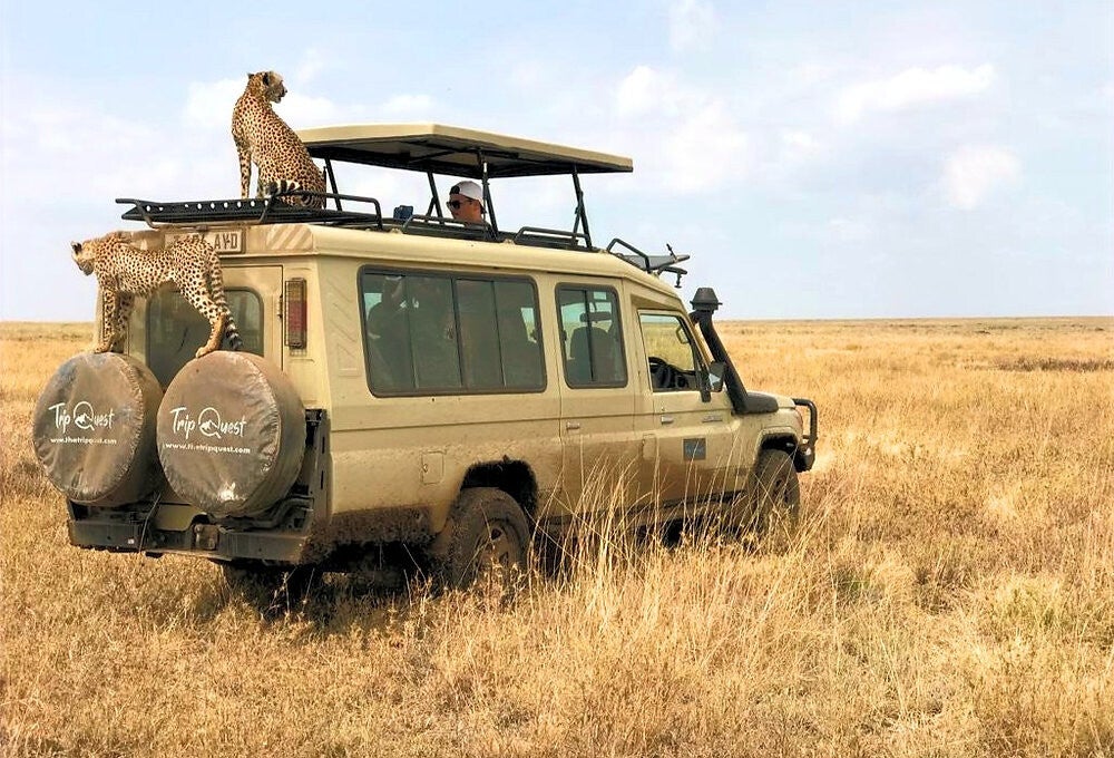  spot the Big Five