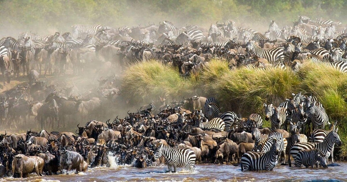 the Great Migration