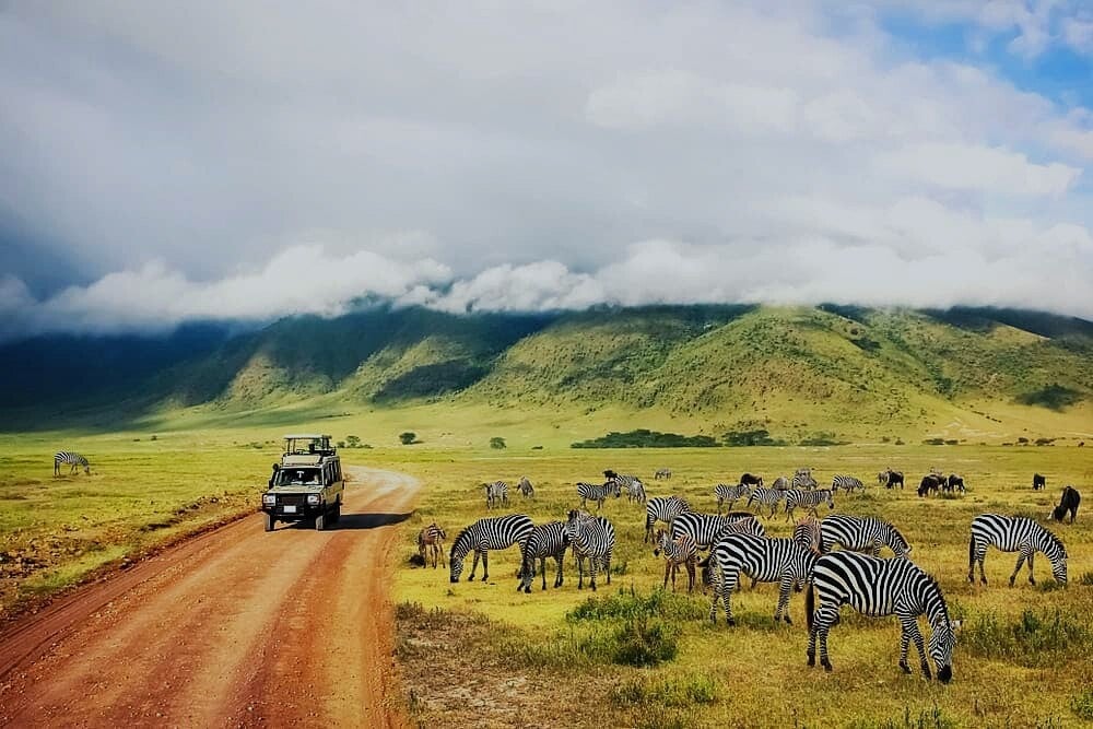 Your journey into the wild begins here.