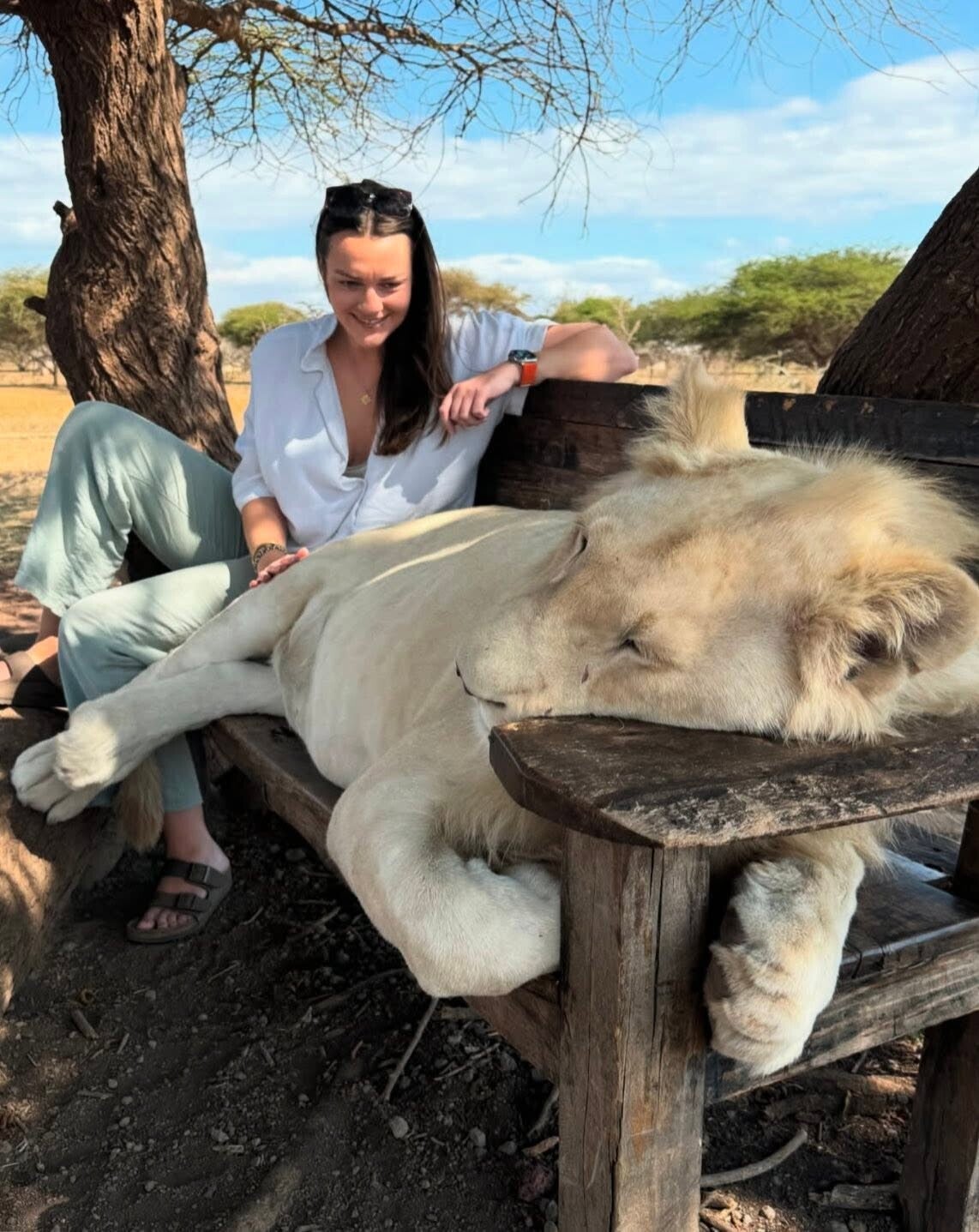 home to a variety of animals,