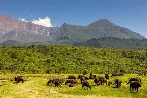 family adventure through Tanzania,