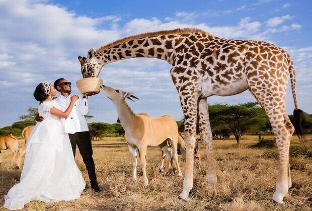 unforgettable honeymoon