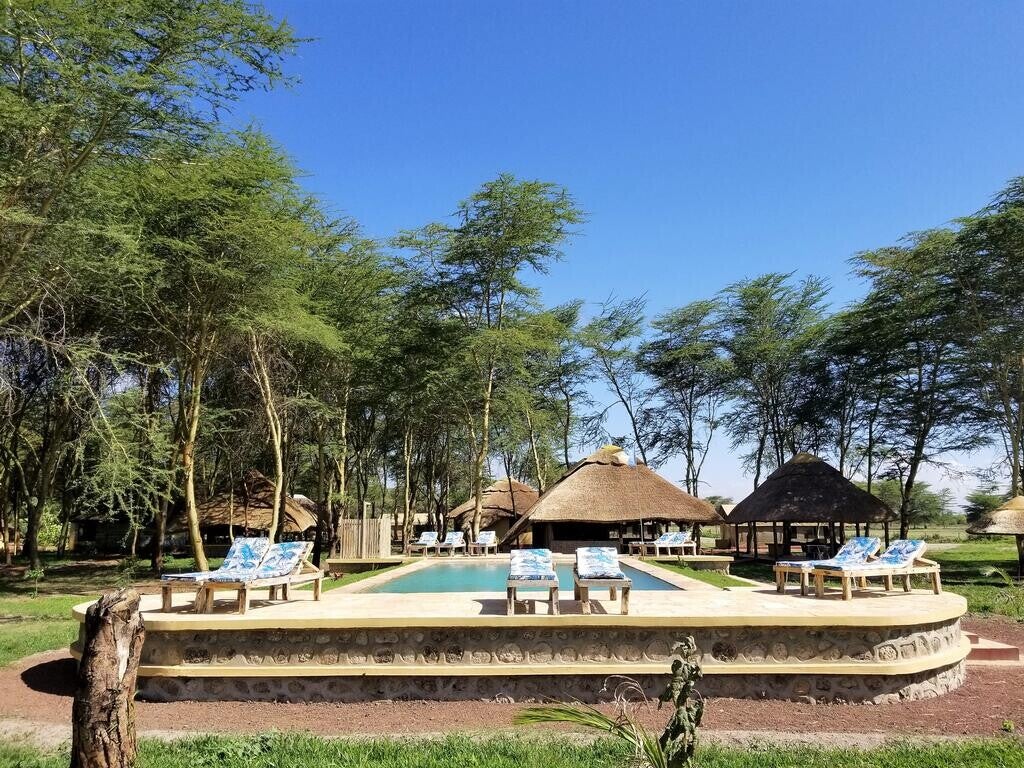 Africa Safari Lake Manyara