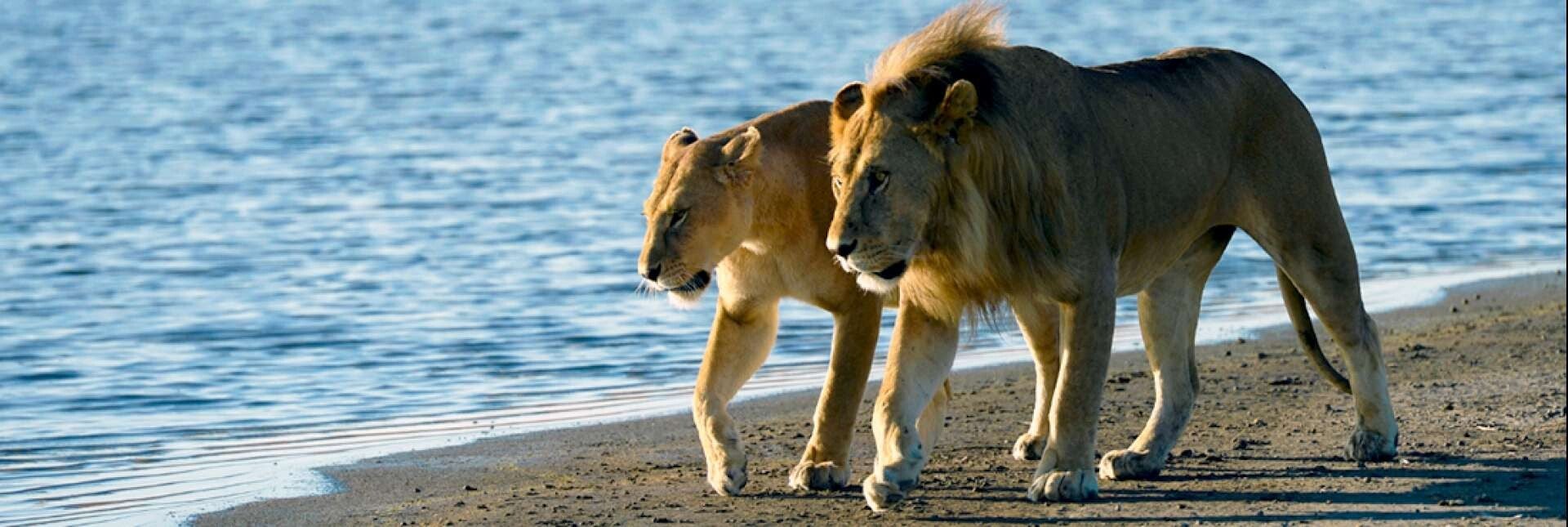  natural connection with the landscape.