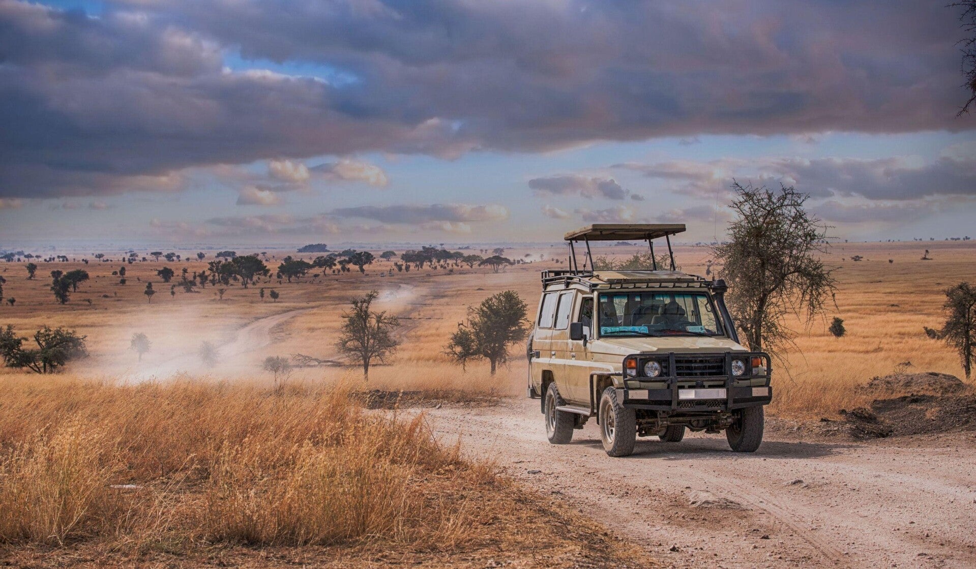  from June to October the dry season in Tanzania