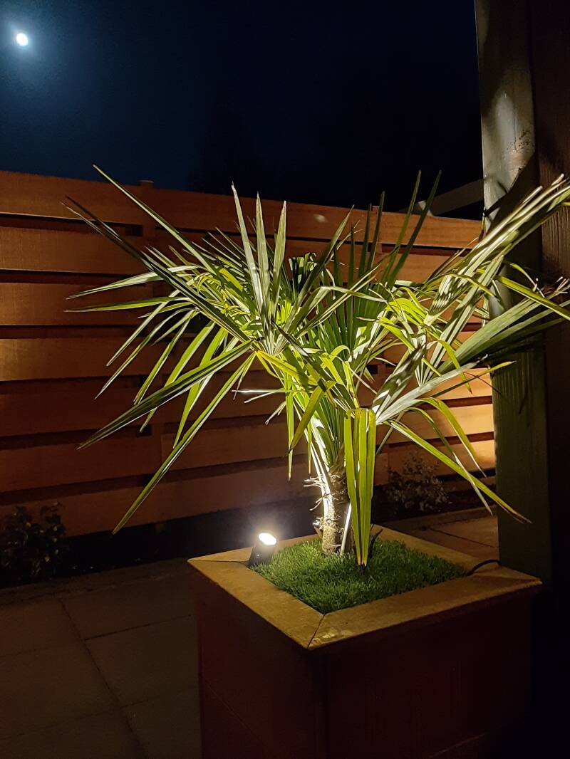 Tuinverlichting spots