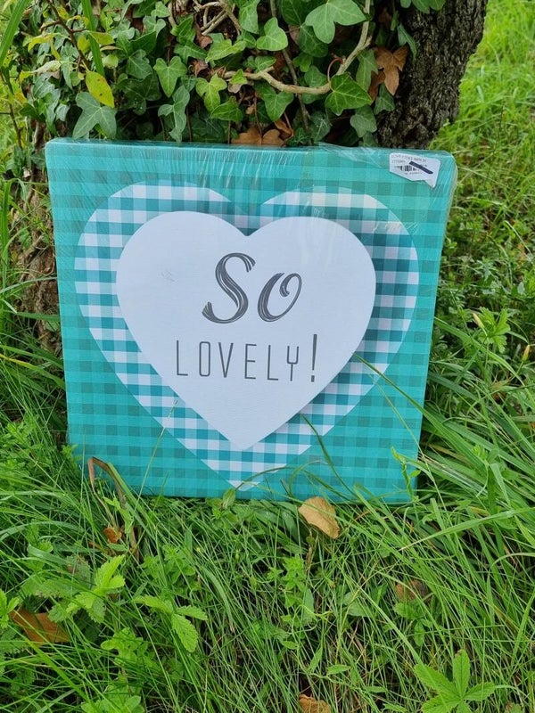 Schilderijtje 30 x 30