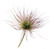 Fryke | tuin en draad