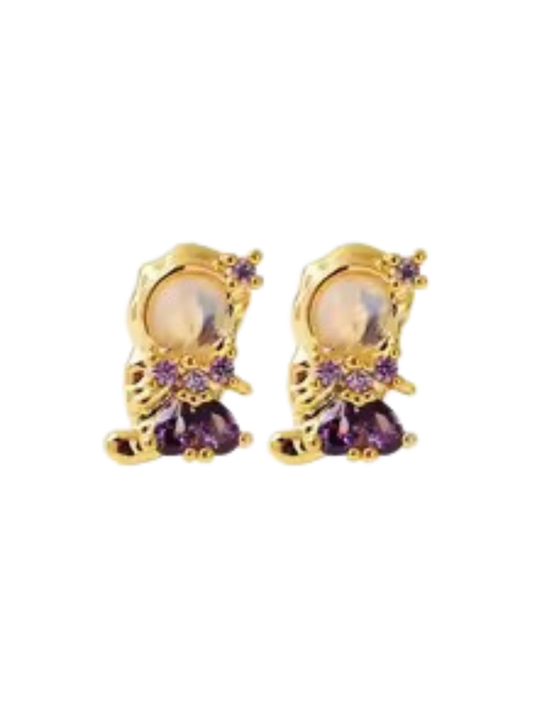Earrings