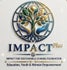 IMPACT FOR SUSTAINABLE CHANGE FUNDATION