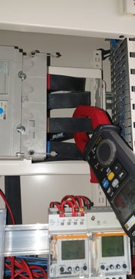 20210802_105947-standard.jpg
