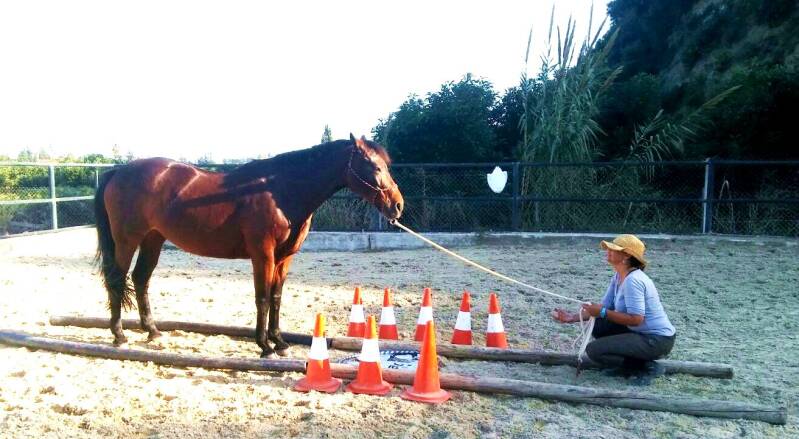 Einzelcoaching - Pferdebegleitetes Beziehungs-Coaching in Estepona, Malaga