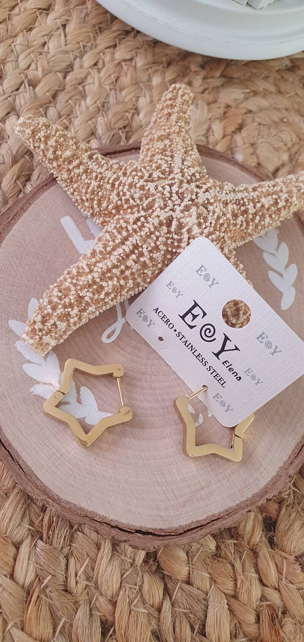 Pendientes Estrella