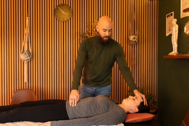 hoe werkt zenuwstelsel regulatie