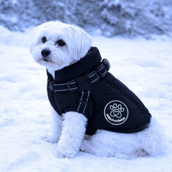 Wasserfester Hundemantel Extreme wasserdichte Winter Hundejacke mit Reflektoren, Ärmelose gefütterte Weste, Integriertes Geschirr, Perfekt für kalte Tage (Schwarz, L)