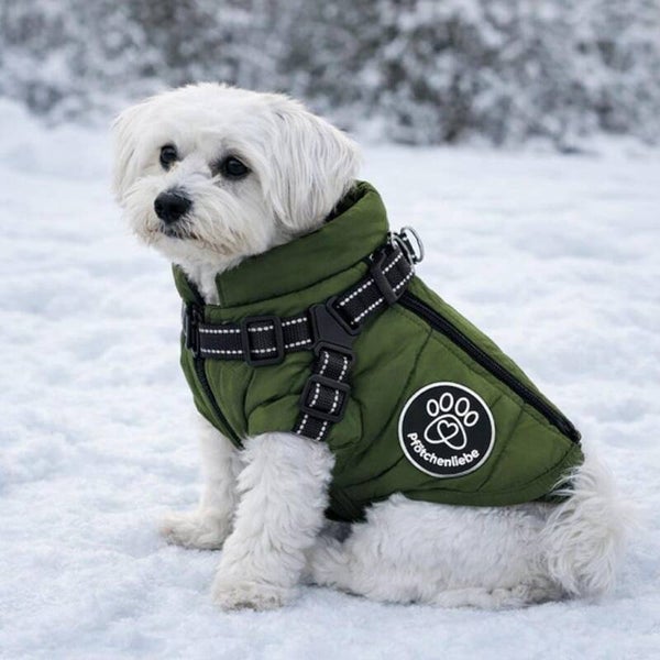 Wasserfester Hundemantel Extreme wasserdichte Winter Hundejacke mit Reflektoren, Ärmelose gefütterte Weste, Integriertes Geschirr, Perfekt für kalte Tage (Grün, L)