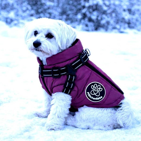 Wasserfester Hundemantel Extreme wasserdichte Winter Hundejacke mit Reflektoren, Ärmelose gefütterte Weste, Integriertes Geschirr, Perfekt für kalte Tage (Purple, 2XL)