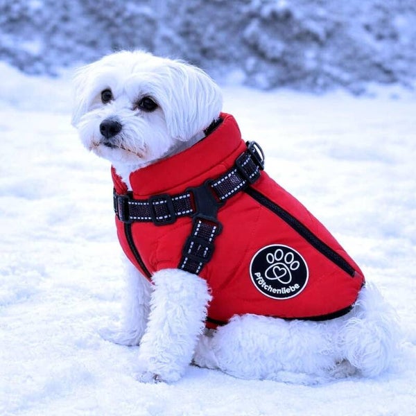 Wasserfester Hundemantel Extreme wasserdichte Winter Hundejacke mit Reflektoren, Ärmelose gefütterte Weste, Integriertes Geschirr, Perfekt für kalte Tage (Rot, L)