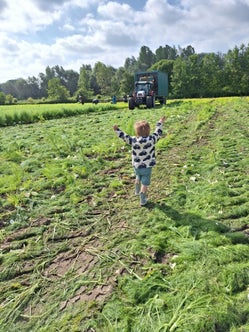 Op het veld bij Groentenhof