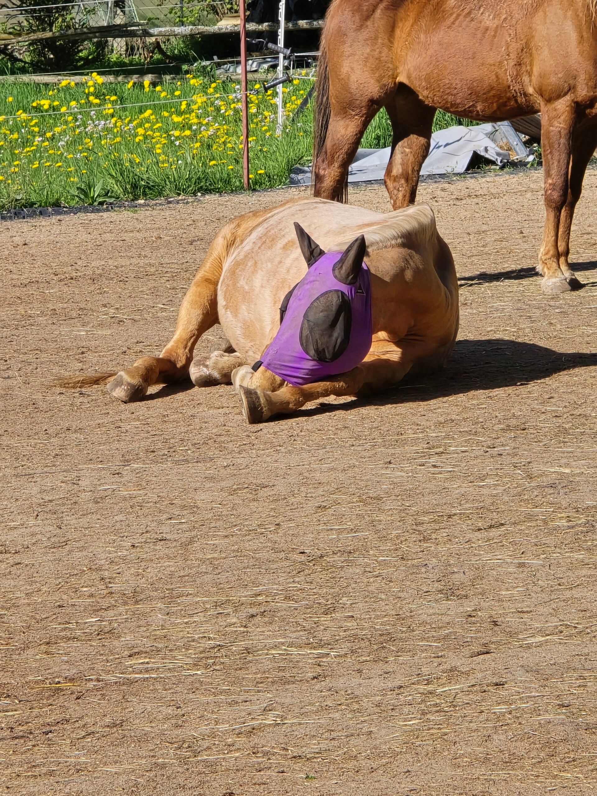 20260425_092826-standard.jpg