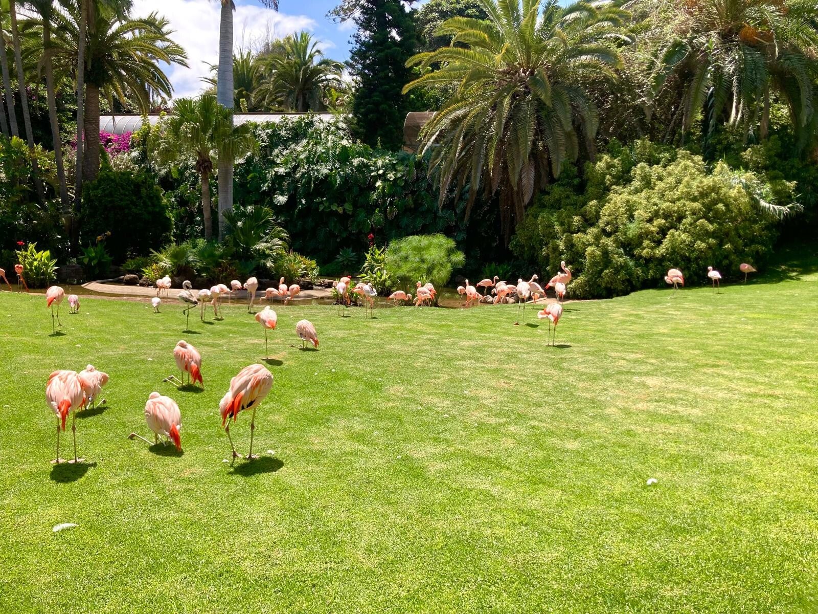 Loro Park - bilety