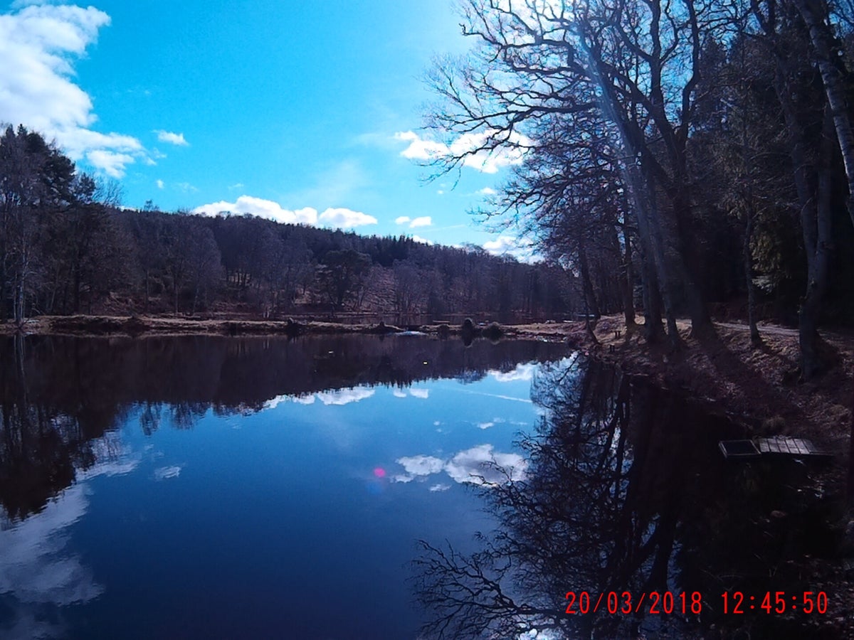 Geddes Trout Fishery