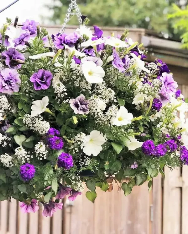 Hanging basket