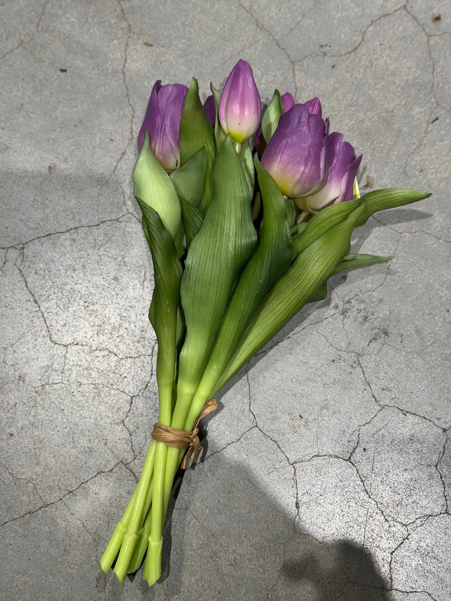 Tulpenbosje paars - 30cm, 7 stelen