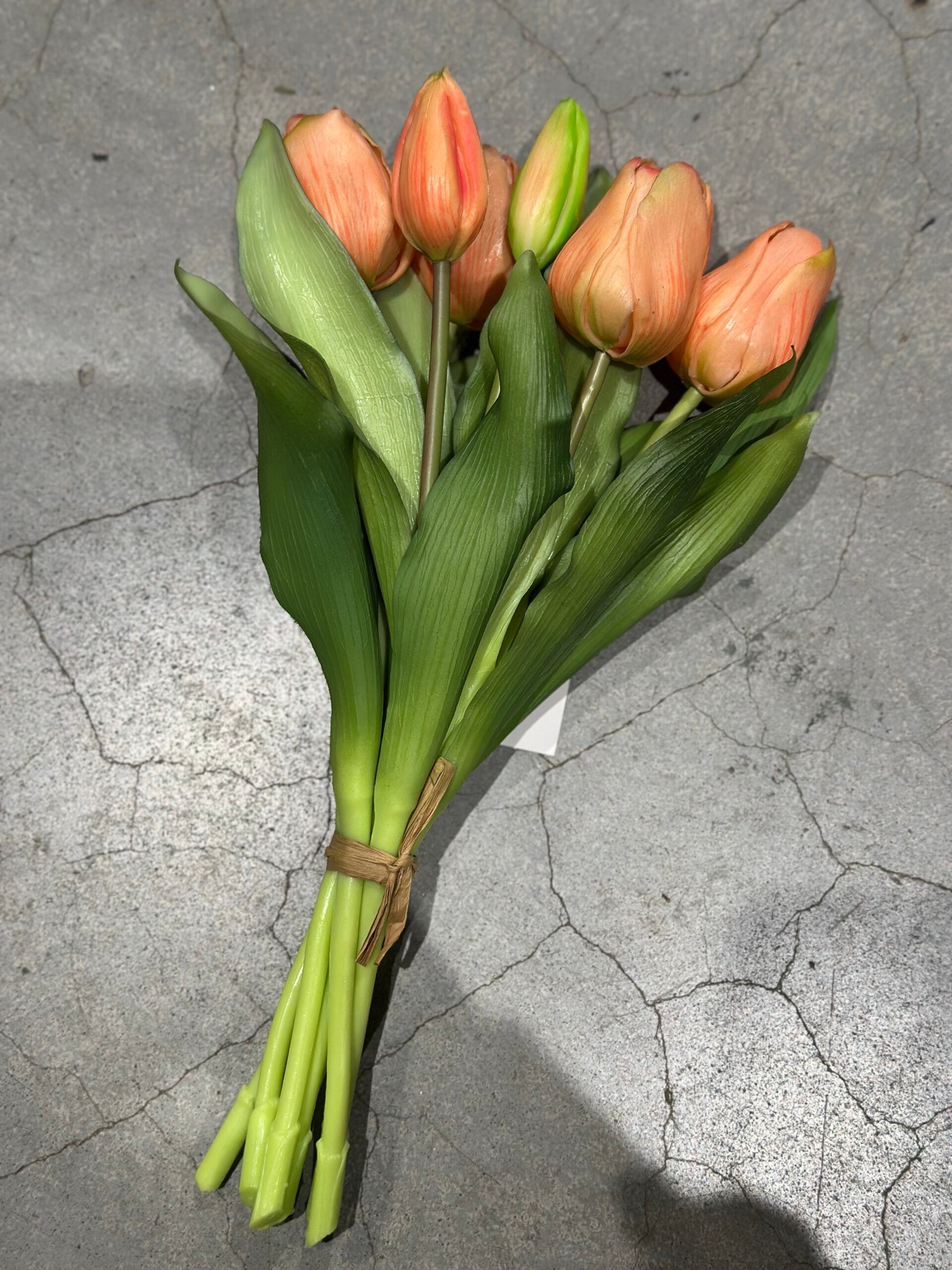 Tulpenbosje zalm - 30cm, 7 stelen