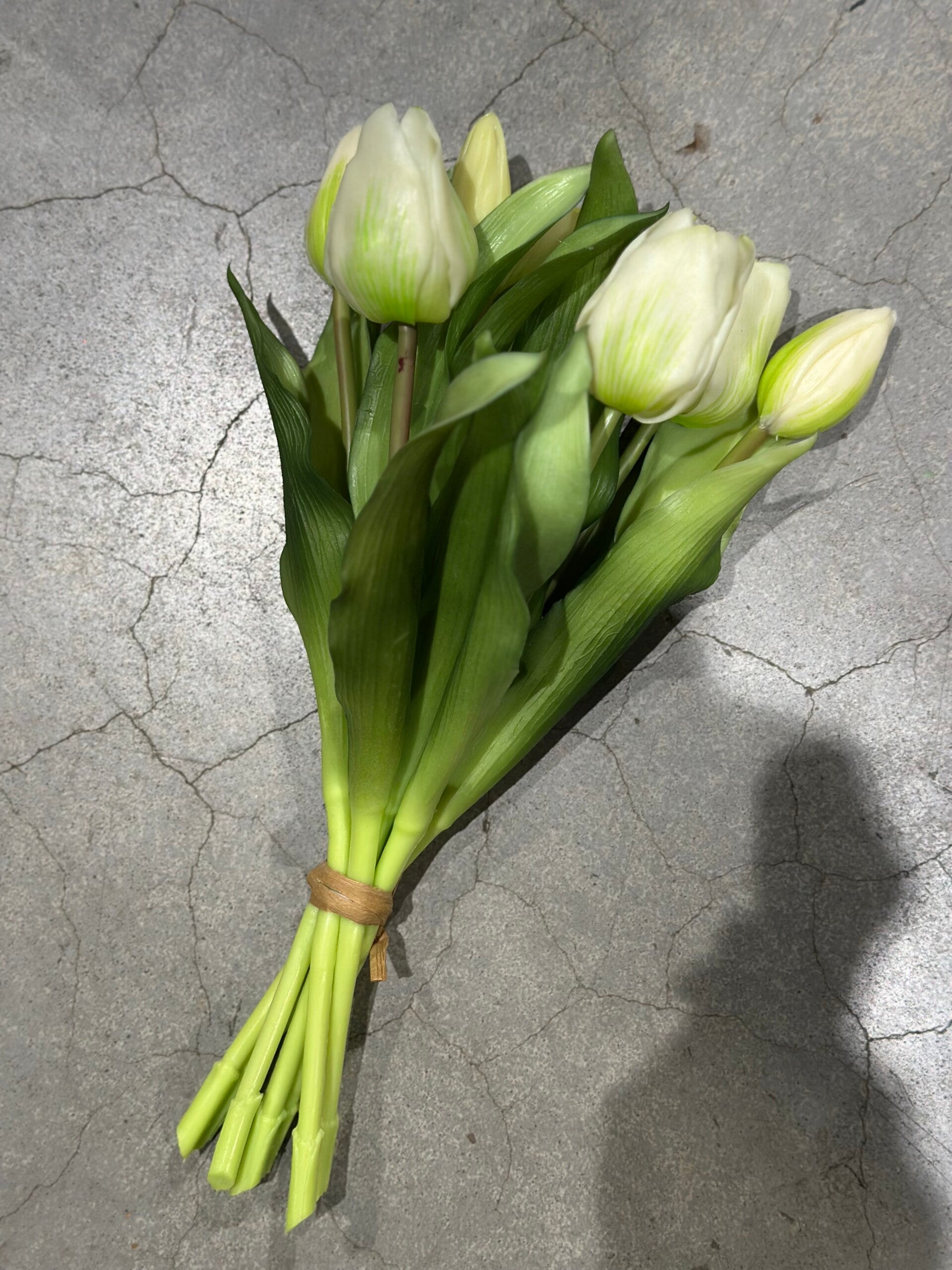 Tulpenbosje wit - 30cm, 7 stelen