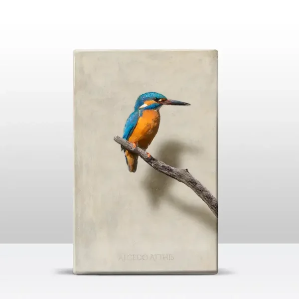 IJsvogel ll