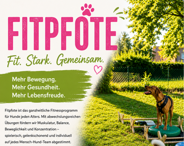 FITPFOTE Workshop 25.07.2026
