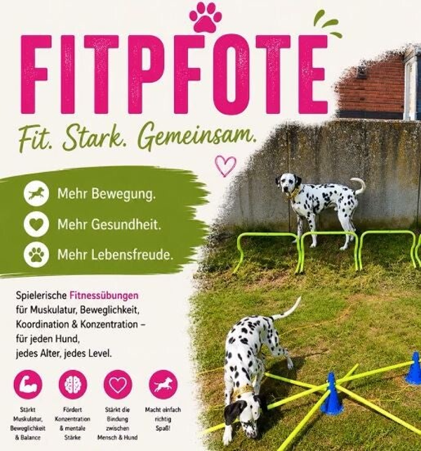 FITPFOTE Workshop 25.07.2026