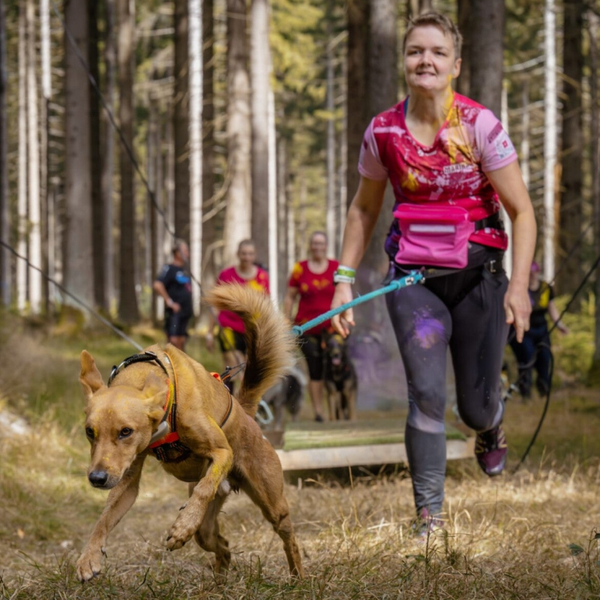 Zughundesport BASIC-Workshop 11.10.2026