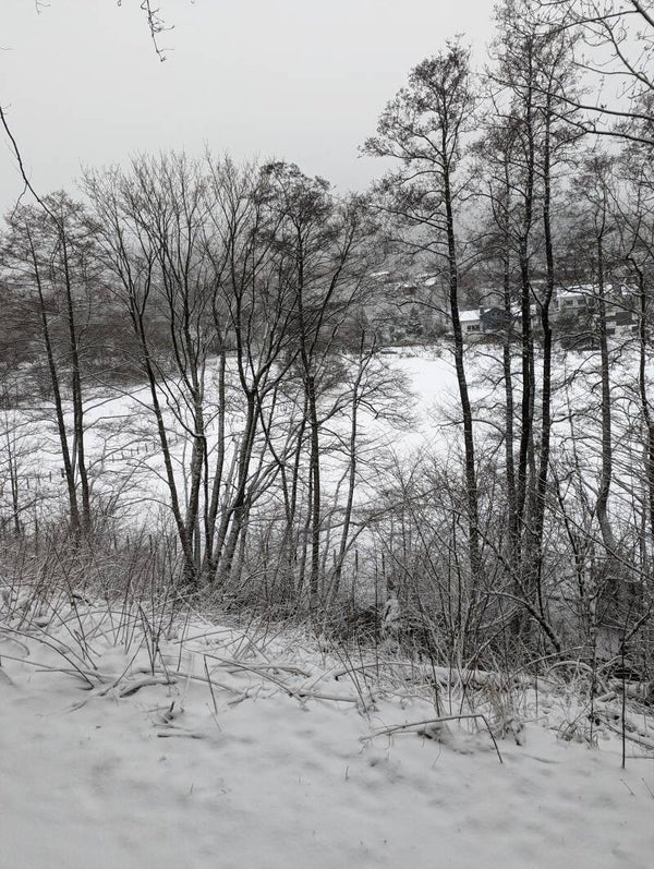 13.02.2027 WINTER PAWS CHALLENGE – Mehr als nur Wandern!