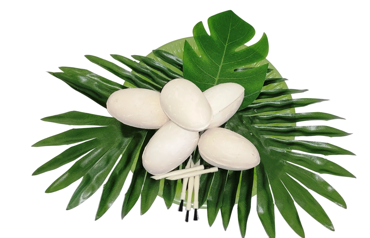 Dinoeier Schatzsuche