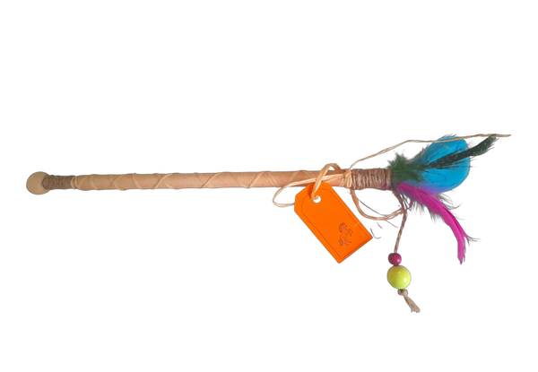 🐎 Tipi-Einladung